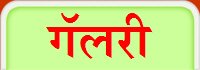 गॅलरी