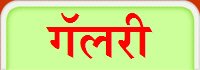 गॅलरी